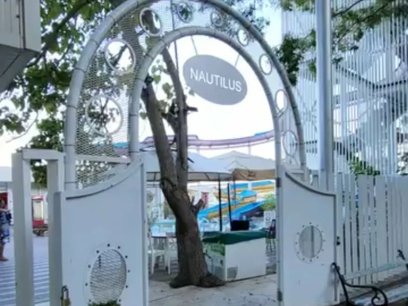 Nautilus Fish and Mood